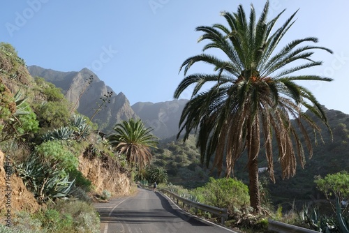 Beautiful scenery of asphalt road with palms and hiking people around town Hermigua in mountains on misty day on La Gomera, Canary Islands, Spain