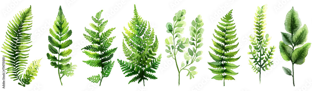 Watercolor illustration of diverse, lush green plants and leaves, displayed horizontally against on a white background