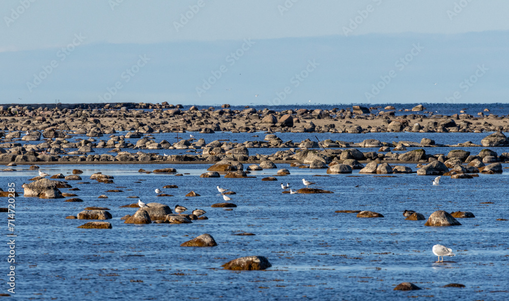 Coast of the Baltic Sea in eastern Oland, Sweden. Coast of the Baltic Sea in eastern Oland, Sweden.
