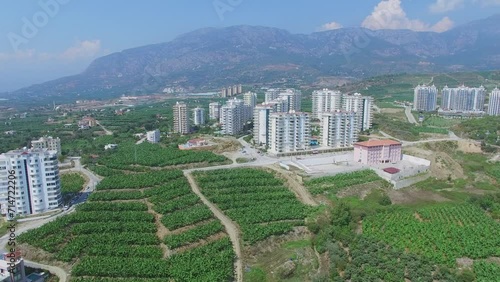 Residential buildings and farm fields near mountains at summer photo