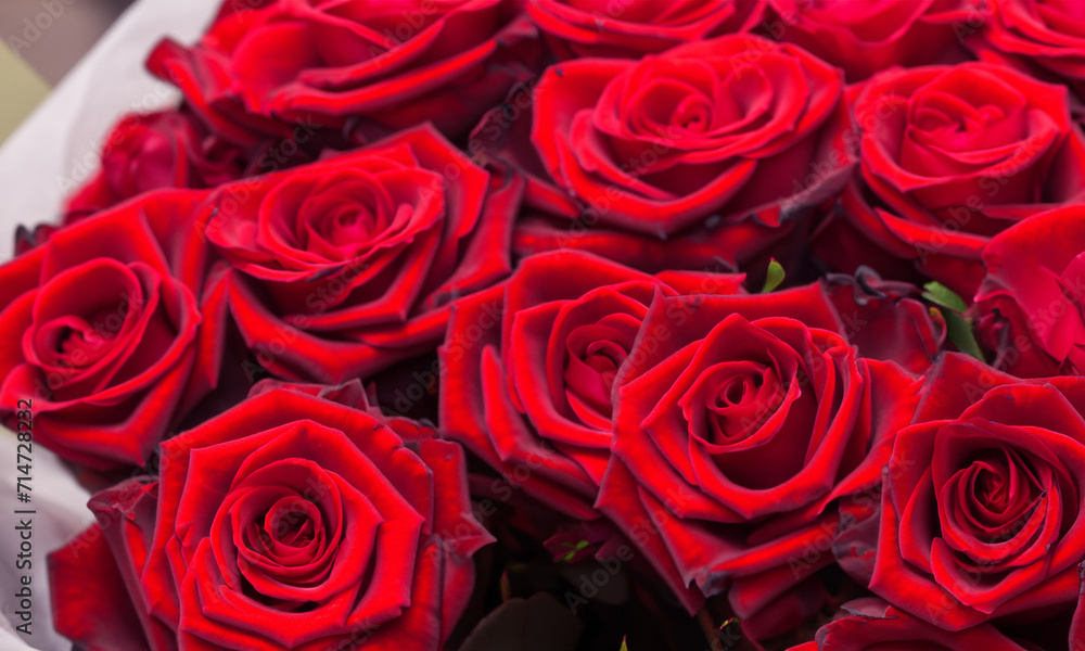 Rosenrot: Leidenschaftliche Blütenpracht im Garten Rosenrot: Leidenschaftliche Blütenpracht im Garten