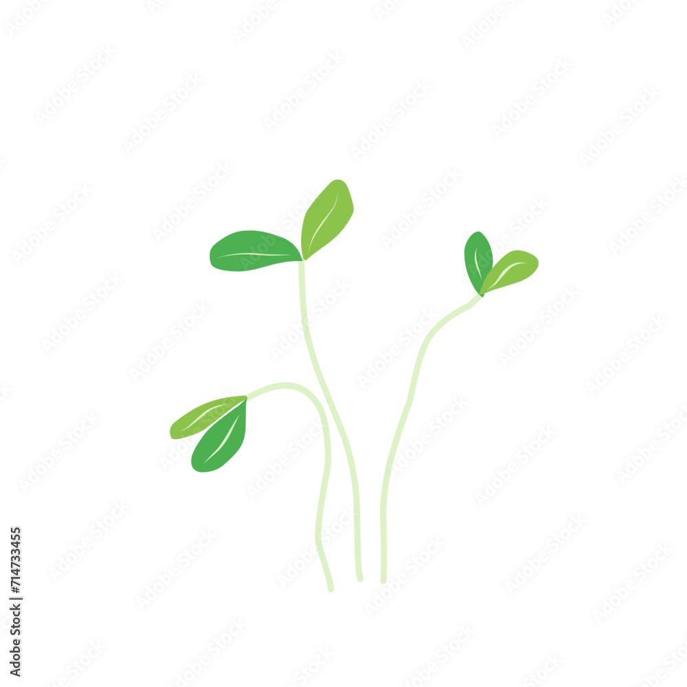 Microgreen plants Illustration 