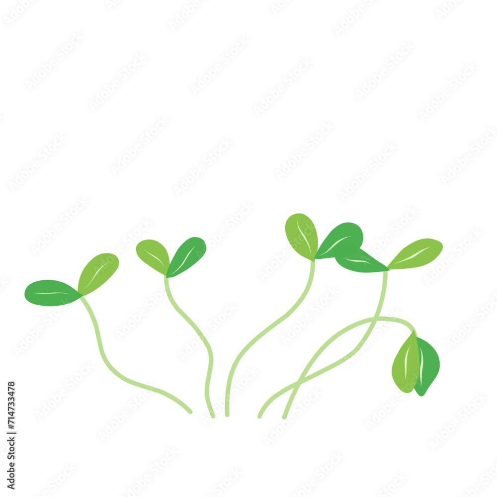Microgreen plants Illustration Microgreen plants Illustration