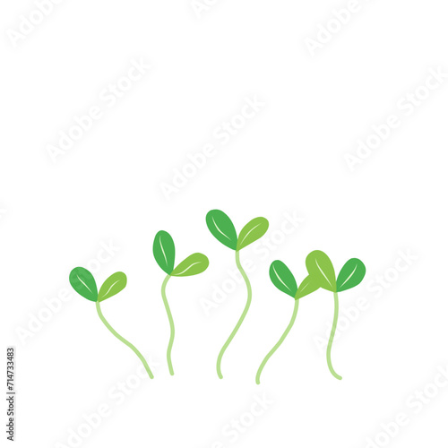 Microgreen plants Illustration  © Mojostd