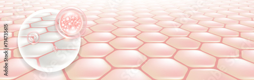 Probiotic and Hyaluronic acid skin solutions ad, pink collagen, and vitamin serum drops with cosmetic advertising background ready to use illustration vector.