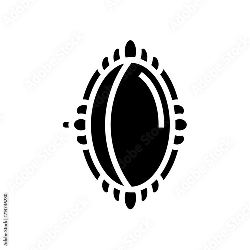 brooch jewelry fashion glyph icon vector. brooch jewelry fashion sign. isolated symbol illustration