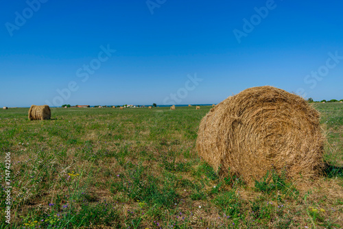 Bale of hay in field