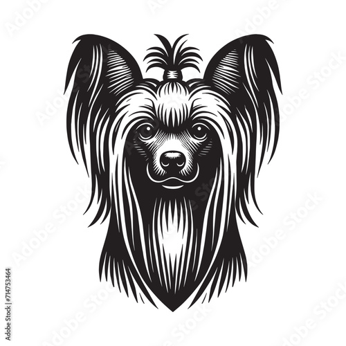 Chinese Crested Dog. Vintage retro engraving illustration. Black icon, logo, label. isolated element.