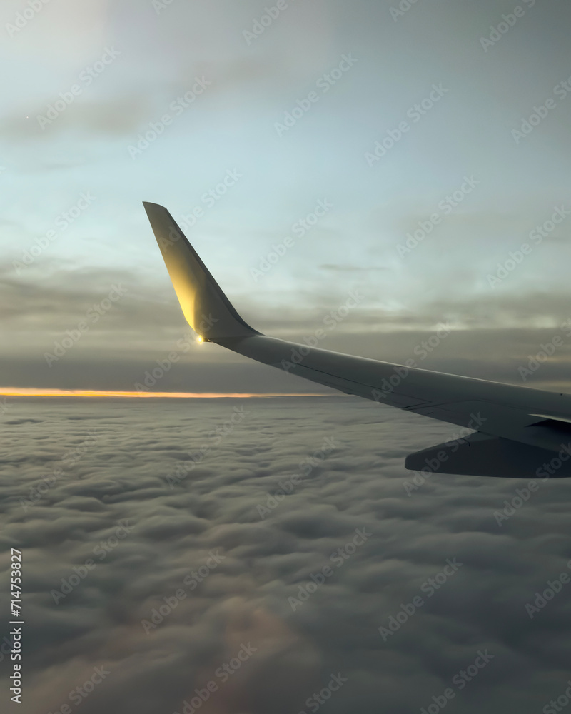 Plane ascends the skies, epitomizing air travel and the splendor of the celestial expanse. Plane ascends the skies, epitomizing air travel and the splendor of the celestial expanse.