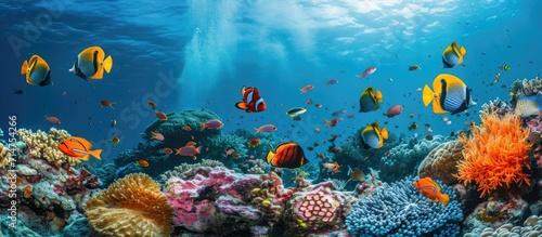 Underwater photo of a vibrant coral reef with tropical fish. © 2rogan