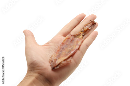 Dried squid used as food