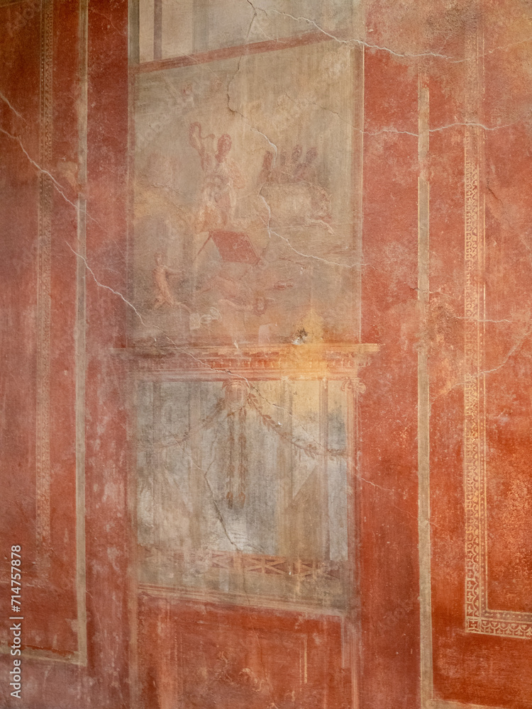 Detail of the wall frescoes of the Casa del Menandro, Pompei