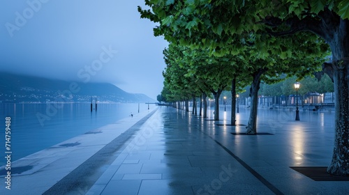 a nature inspired walking pathway road surrounded by trees near water