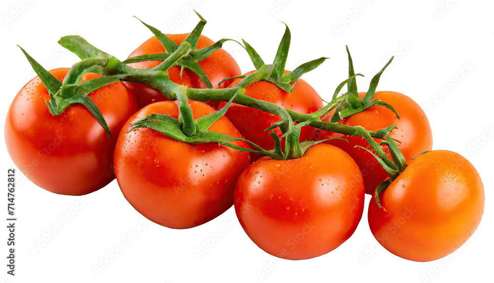 Branch of delicious fresh tomatoes - isolated