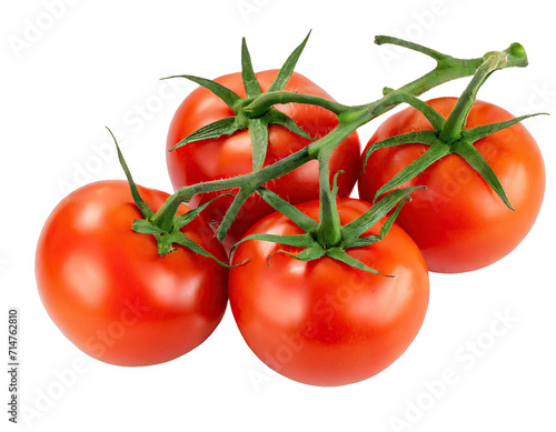 Branch of delicious fresh tomatoes - isolated