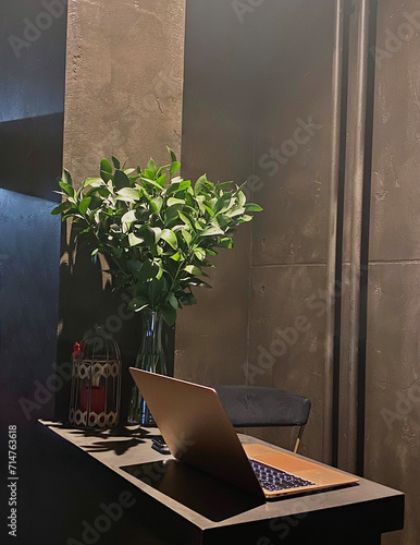 Loft style workplace with laptop, phone and green plant.