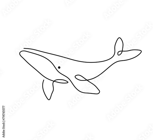 Vector isolated one single contemporary line whale dolphin killer whale colorless black and white contour line easy drawing