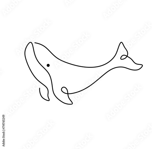 Vector isolated one single contemporary line whale dolphin killer whale colorless black and white contour line easy drawing