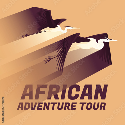 Two African herons are flying. Gradient of movement speed. Safari, tourism and adventure tour. The wild nature. photo