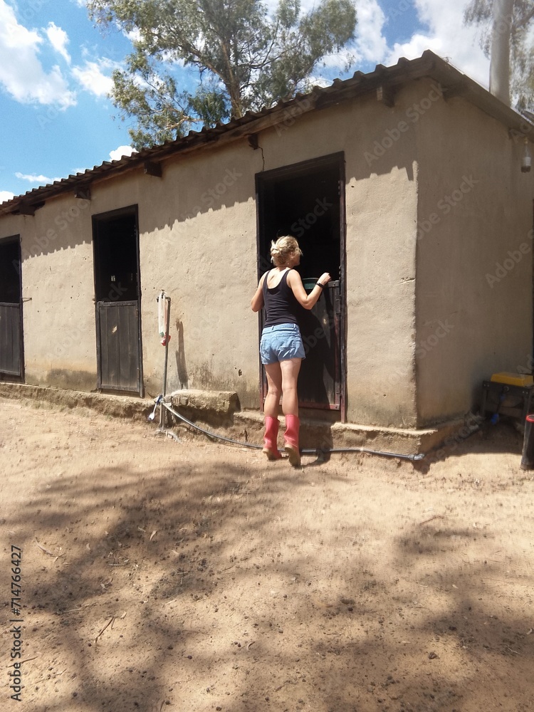 Rear view of a Caucasian female farmer peeking over a barn door Rear view of a Caucasian female farmer peeking over a barn door