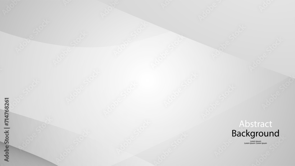 Obraz premium gray and white black color background abstract art vector