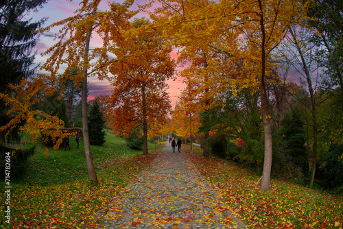 Ataturk Arboretum in Sariyer district of Istanbul photo