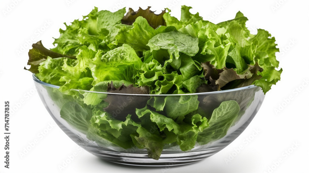 Salad - Lettuce - Tomato - Vegetables Salad - Lettuce - Tomato - Vegetables