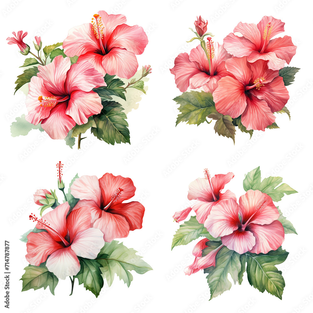 Obraz premium Set of realistic watercolor bouquet with light red hibiscus flowers and green leaves. Tropical flower illustration for wedding invitations, greeting cards, and postcards.