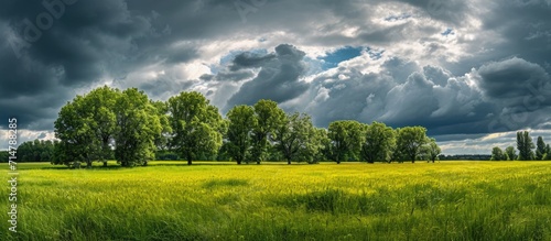 Field with trees under a cloudy sky.