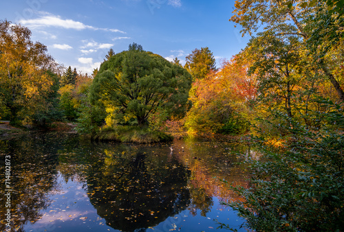 The river near the trees in autumn.