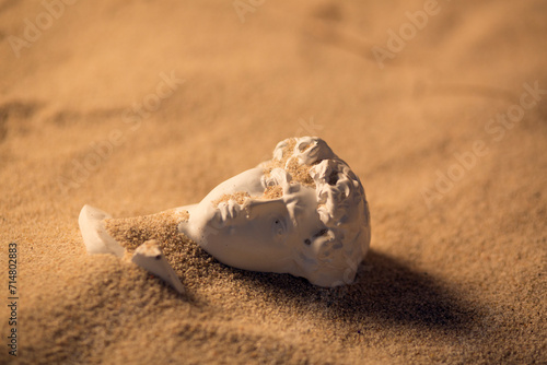 Bust of a man made of plaster, sculpture in the sand.