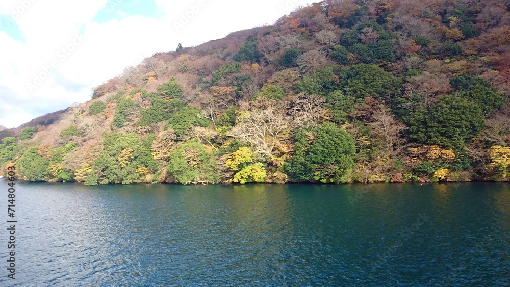 Obraz premium 湖の上から見た森林の風景