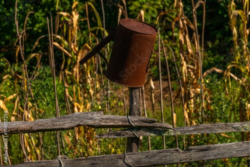 An old and rusty garden watering can hangs upside down on the garden fence on a sunny autumn day