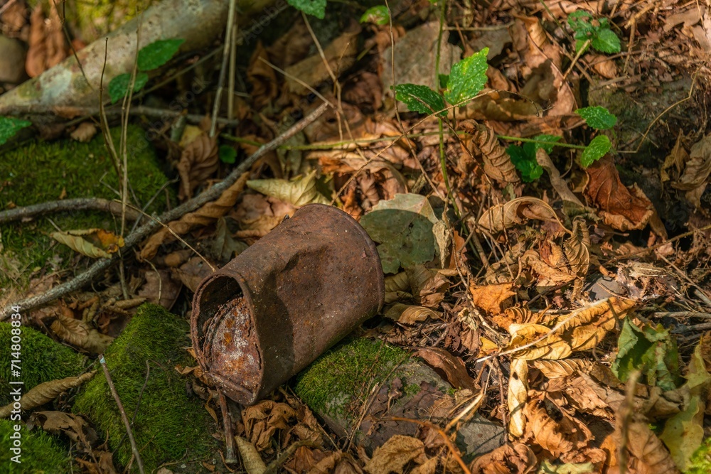 Fototapeta premium an old rusty used tin can lies on the ground in fallen orange leaves in the mountains of the Western Caucasus (South Russia) on a sunny summer day