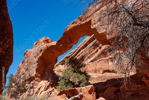 View from Devils Garden Hiking Trail in Arches National Park  Utah