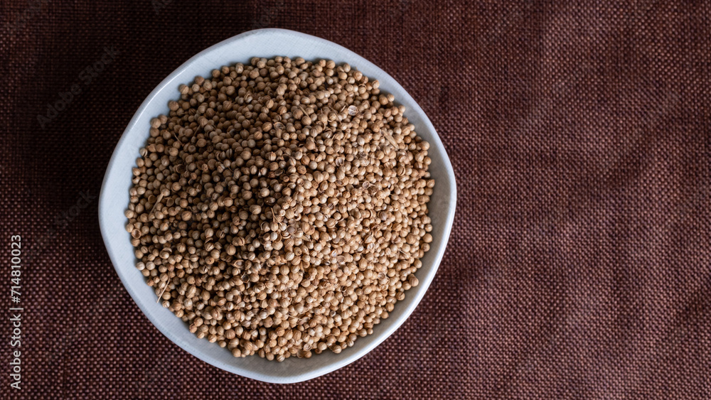 Dried Coriander seed Dried Coriander seed