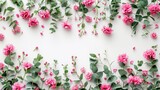 Eucalyptus Leaves and Pink Flowers Composition on White Background AI Generated