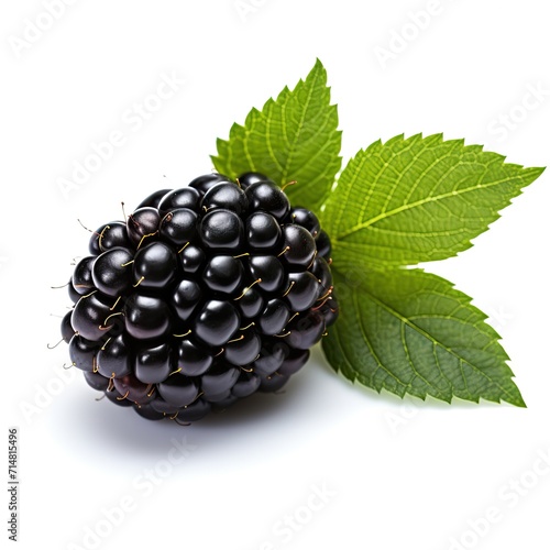Blackberry isolated on white background, Pile of ripe blackberries with green leaves