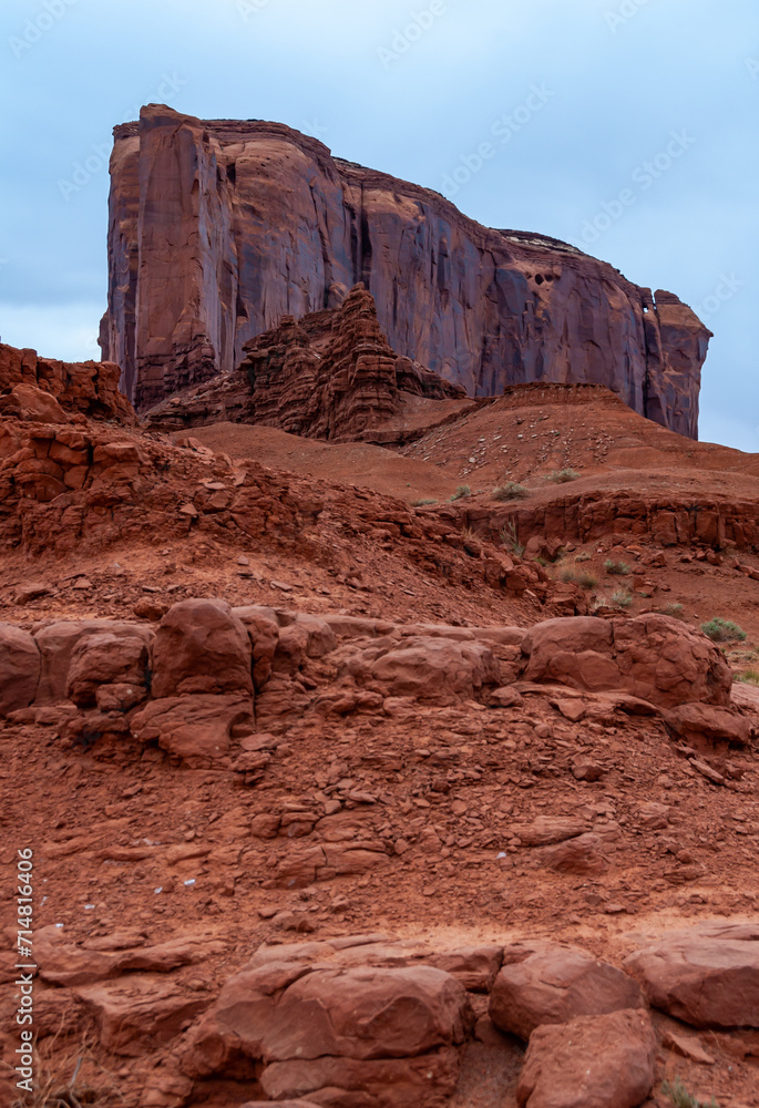 Fototapeta premium Desert landscape with red rocks and dry vegetation on red sands in Monument Valley, Navajo Nation, Arizona - Utah