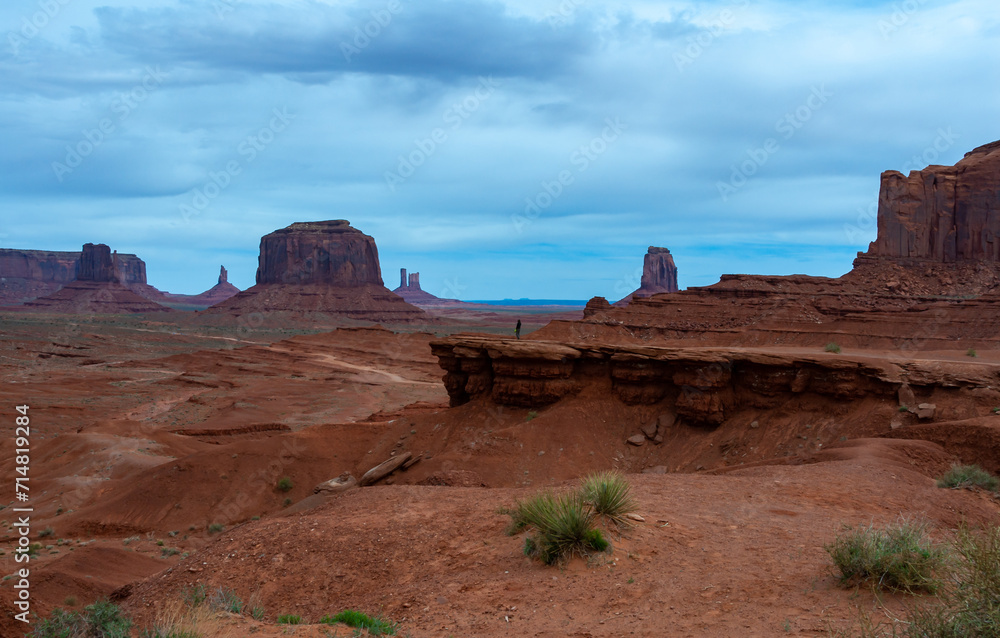 Desert landscape with red rocks and dry vegetation on red sands in Monument Valley, Navajo Nation, Arizona - Utah Desert landscape with red rocks and dry vegetation on red sands in Monument Valley, Navajo Nation, Arizona - Utah