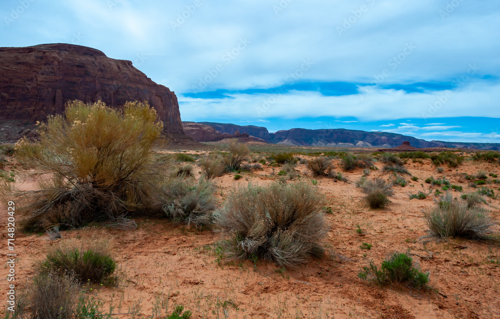 Desert landscape with red rocks and dry vegetation on red sands in Monument Valley, Navajo Nation, Arizona - Utah Desert landscape with red rocks and dry vegetation on red sands in Monument Valley, Navajo Nation, Arizona - Utah
