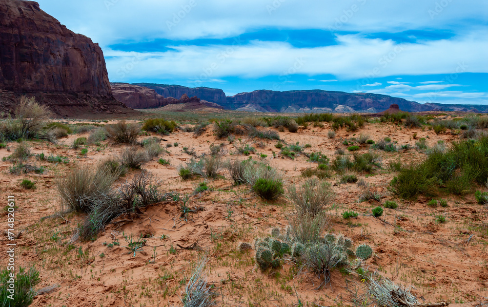 Obraz premium Desert landscape with red rocks and dry vegetation on red sands in Monument Valley, Navajo Nation, Arizona - Utah