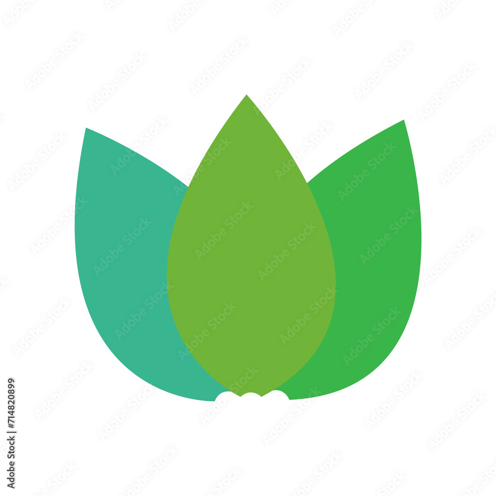 green leaf petals isolate on white. green leaf petals isolate on white.