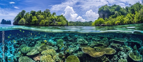 Raja Ampat, Indonesia, boasts abundant marine life, making it a popular spot for diving and snorkeling. photo
