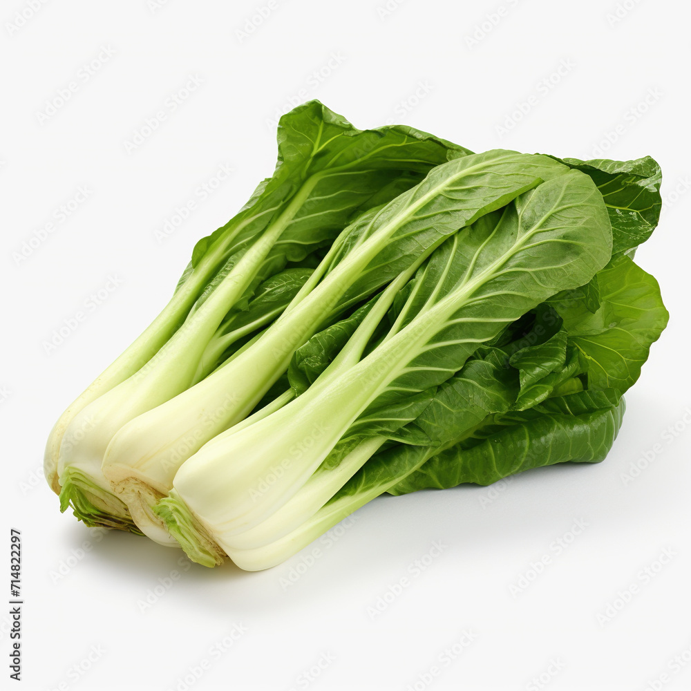 Baby cabbage isolated background,created with Generative AI tecnology. Baby cabbage isolated background,created with Generative AI tecnology.