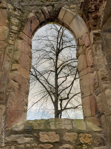 Old church window with a tree