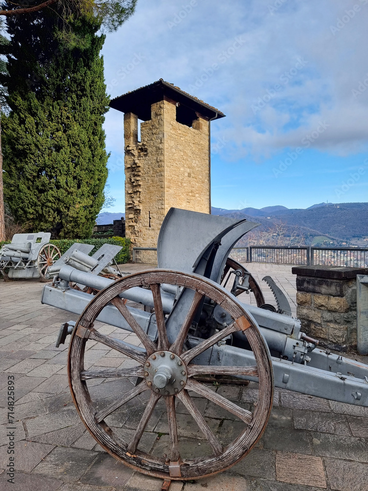 Obraz premium cannon in the fortress