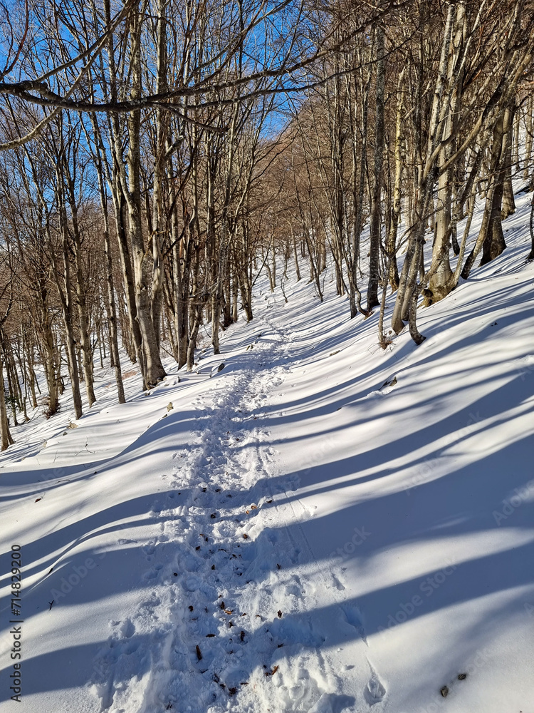 Obraz premium snow covered road