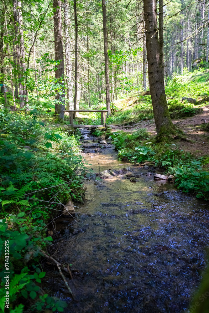 Stream in the Bavarian Forest Stream in the Bavarian Forest