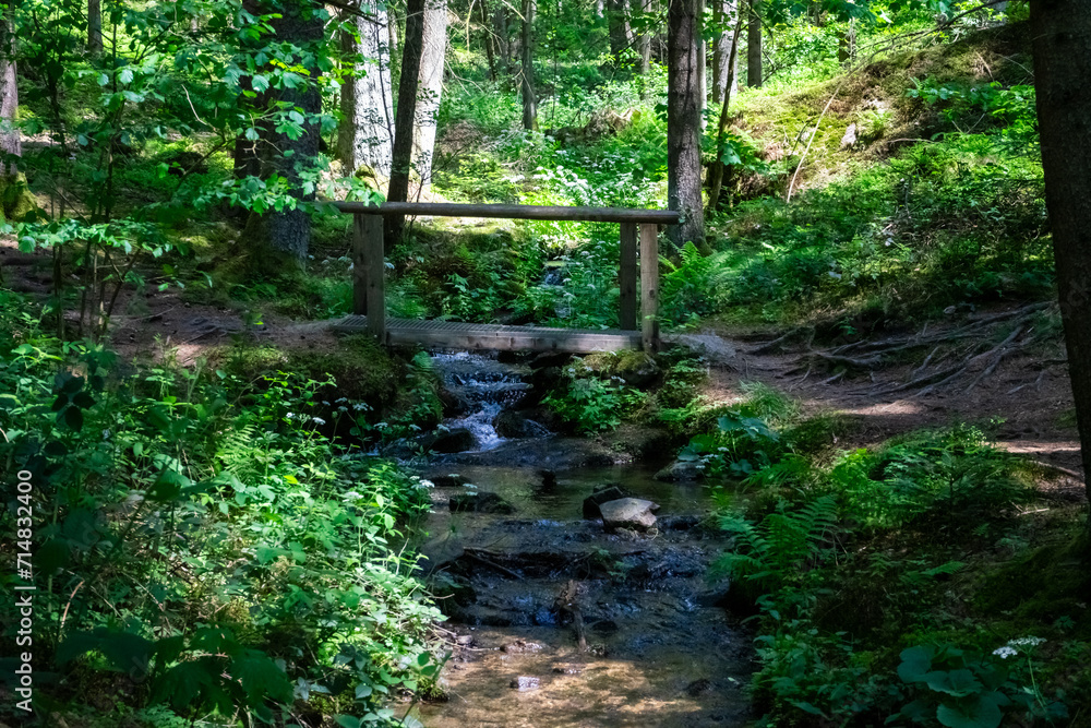 Fototapeta premium Stream in the Bavarian Forest